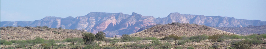 random header image